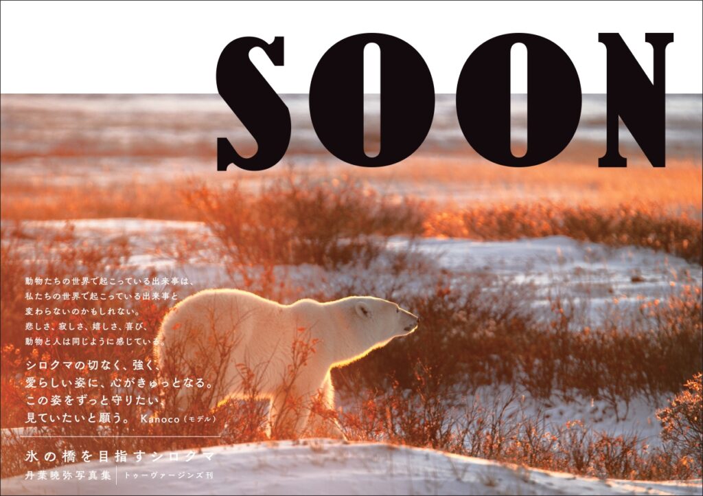 6/4（火）～6/23（日）に丹葉暁弥『SOON　氷の橋を目指すシロクマ』写真展を開催します。