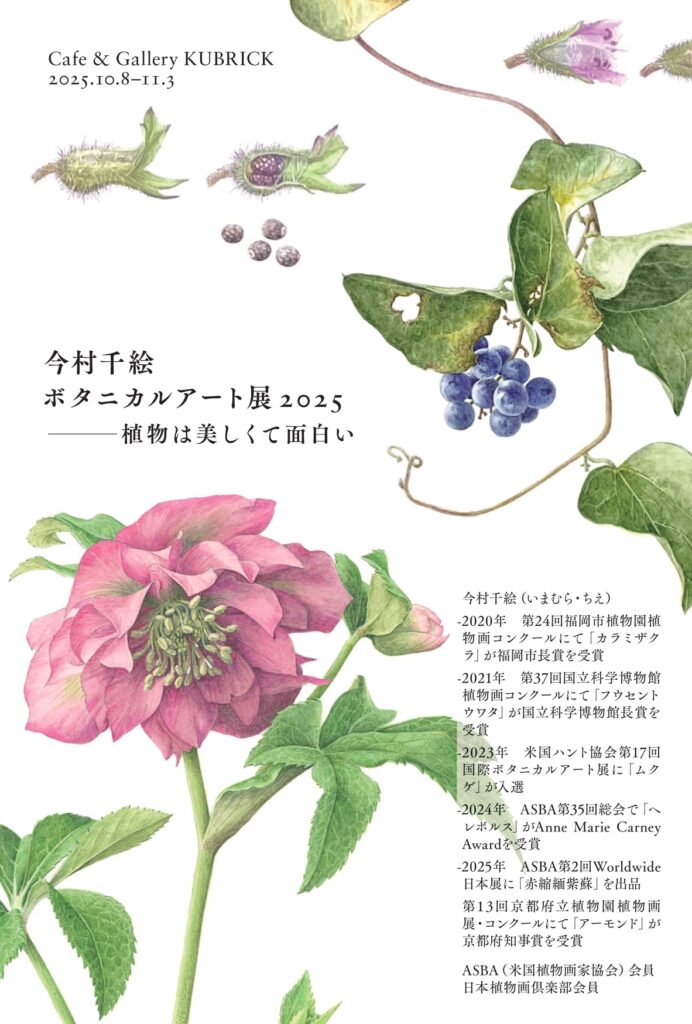 10/8（水）〜11/3（月）「今村千絵（いまむら・ちえ）ボタニカルアート展2025 〜植物は美しくて面白い〜」を開催します。